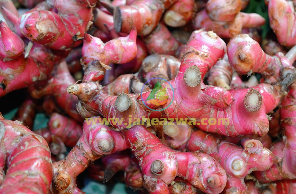 11 Manfaat Kesehatan yang Sudah Terbukti dari Jahe